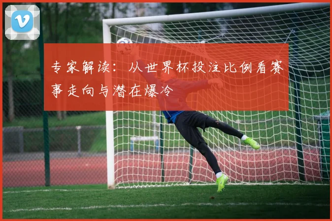 专家解读：从世界杯投注比例看赛事走向与潜在爆冷