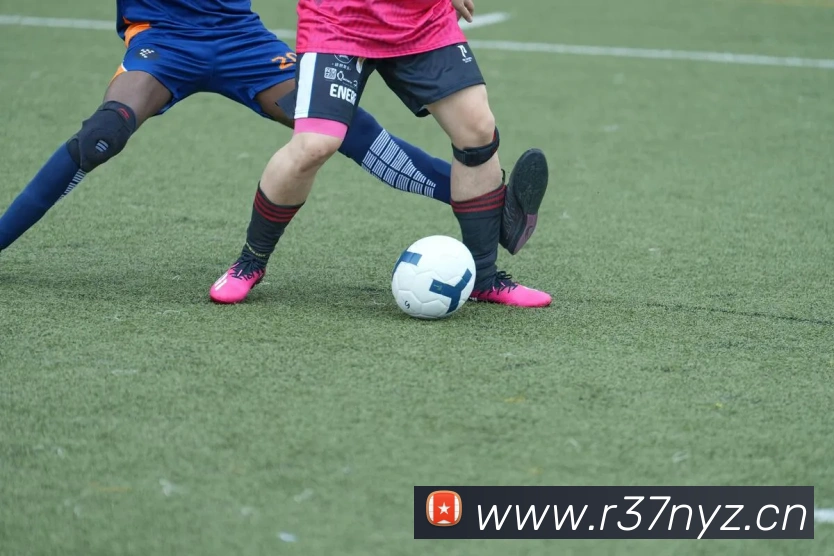 星空体育全站官网发展历程